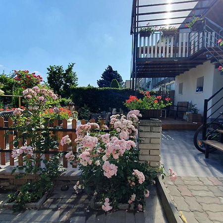 David Home 56 Znojmo Ngoại thất bức ảnh