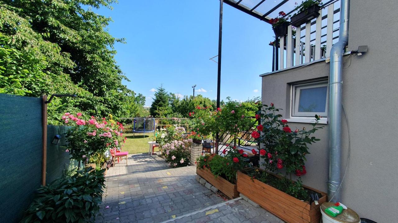 David Home 56 Znojmo Ngoại thất bức ảnh