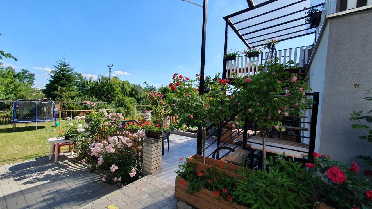 David Home 56 Znojmo Ngoại thất bức ảnh