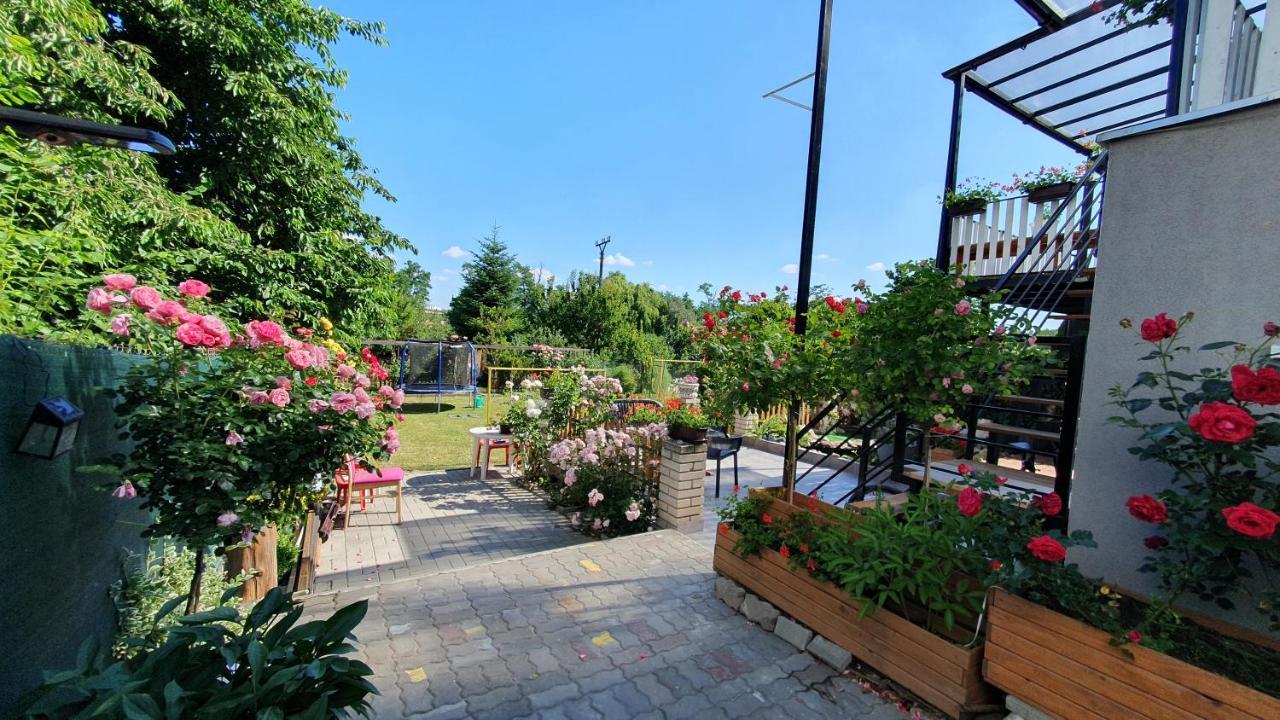 David Home 56 Znojmo Ngoại thất bức ảnh